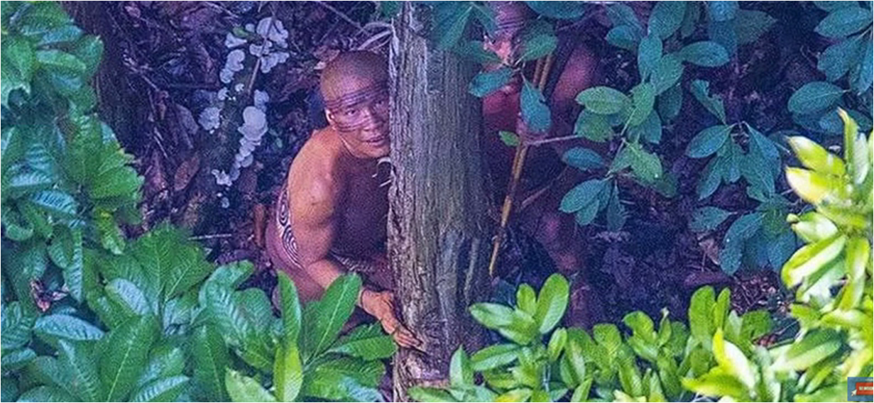 Podaj Trzy Przyczyny Wylesienia Amazonii W Amazonii znaleziono nieznane plemię Indian | zmianynaziemi.pl